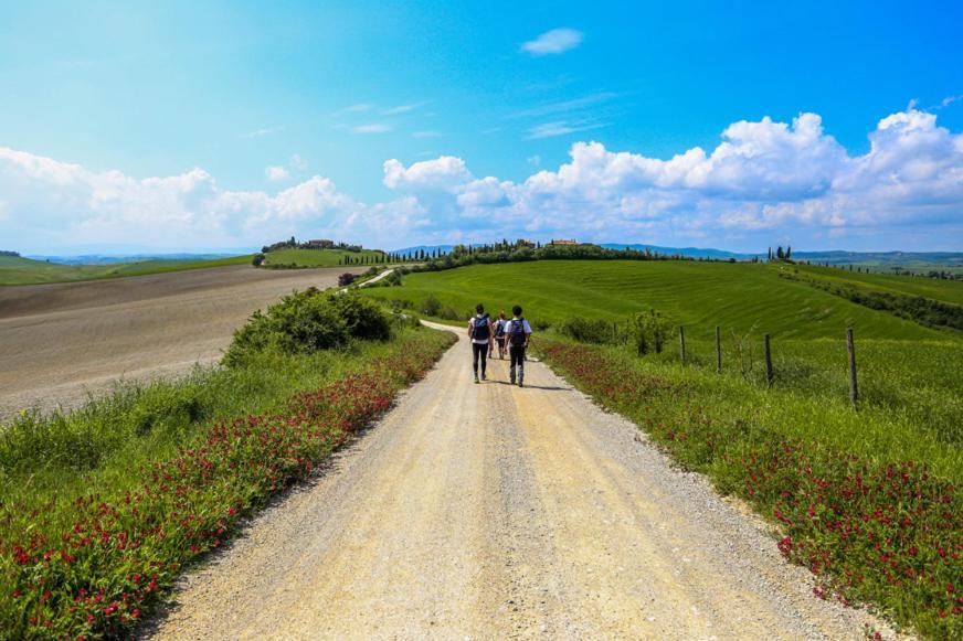 Villa Ginevra-Villa Indipendente-Crete Senesi-Tuscany เซียนา ภายนอก รูปภาพ